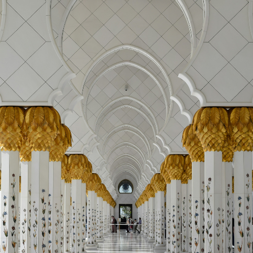 MUSCHIO DEGLI EMIRATI