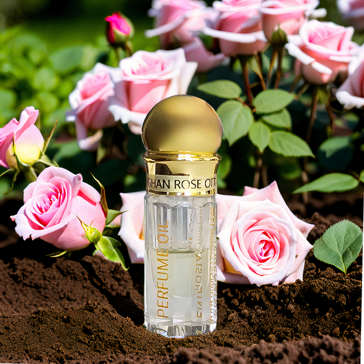 ROSA AFGANA OTTO